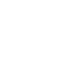 management
